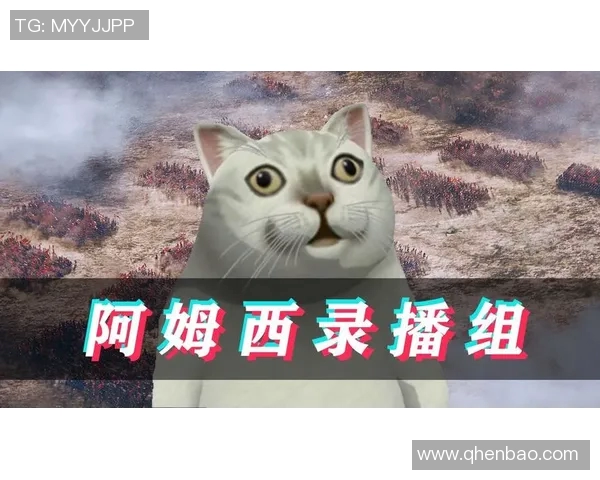 刀塔2比赛直播在哪看-如何在在线平台观看刀塔2比赛直播-刀塔2比赛直播在哪看